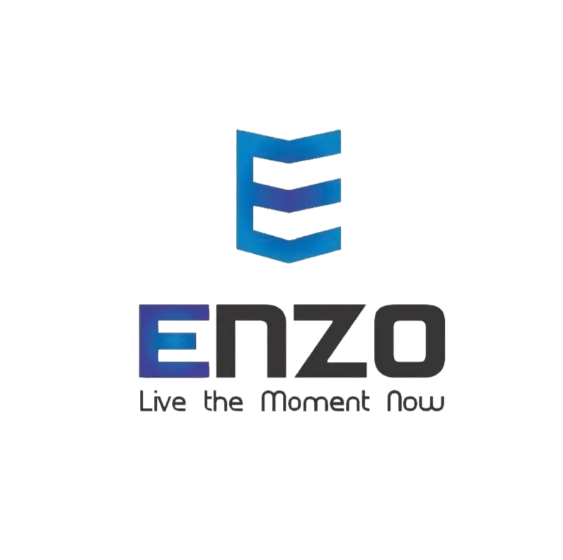 لوگو محصولات انزو -enzu