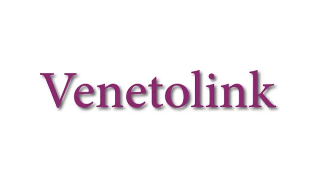 لوگو برند لوازم جانبی ونتولینک - venetolink