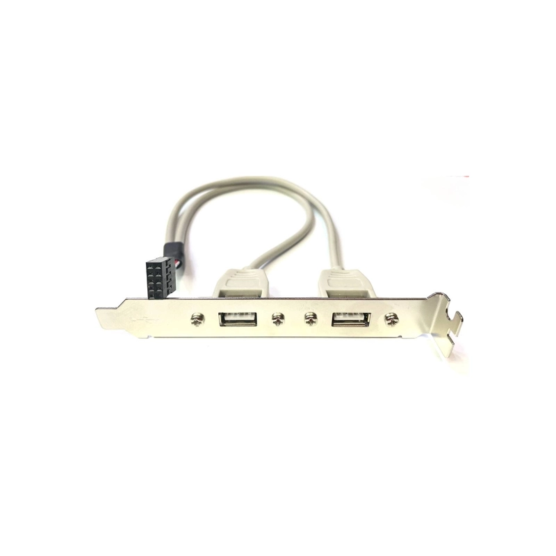 براکت-USB2-2PORT-1.webp براکت USB2 2PORT - تصویر 1
